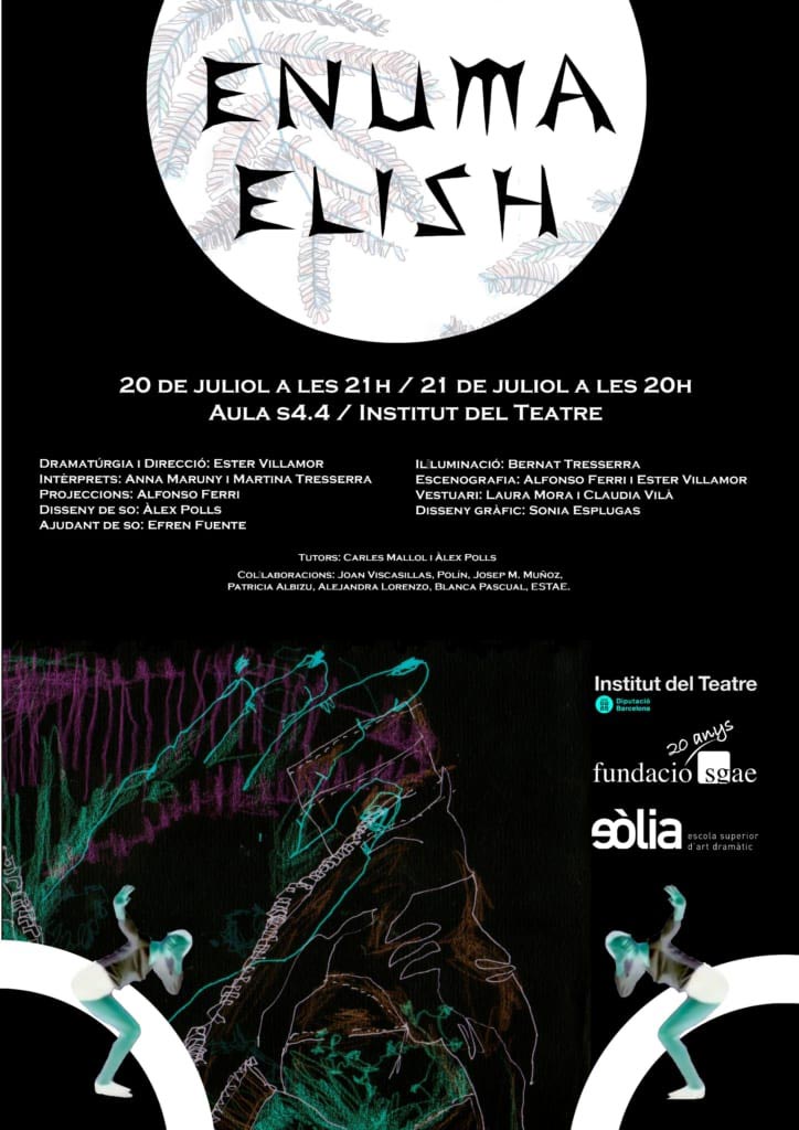 cartell_ENUMA web 2