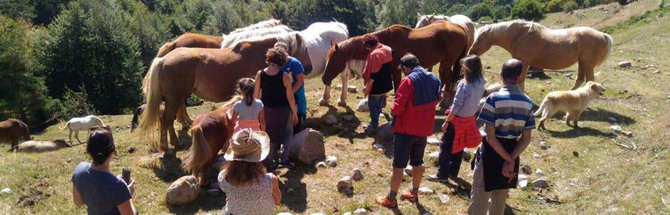 people and horses cloth